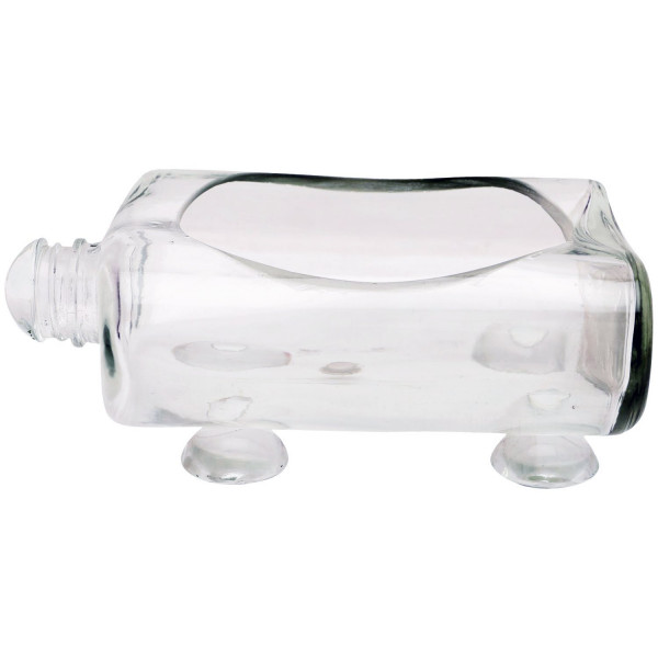 Upcycled Serveware cum Glass Planter (Transparent)