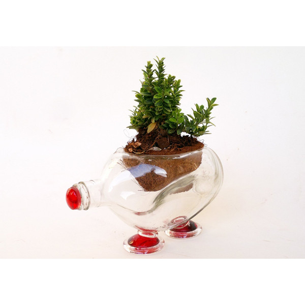 Handcrafted Ash Tray cum Table Glass Planter (Transparent)