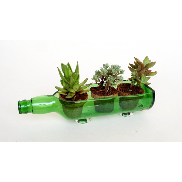 Sustainable Serving Platter cum Glass Planter (Green)