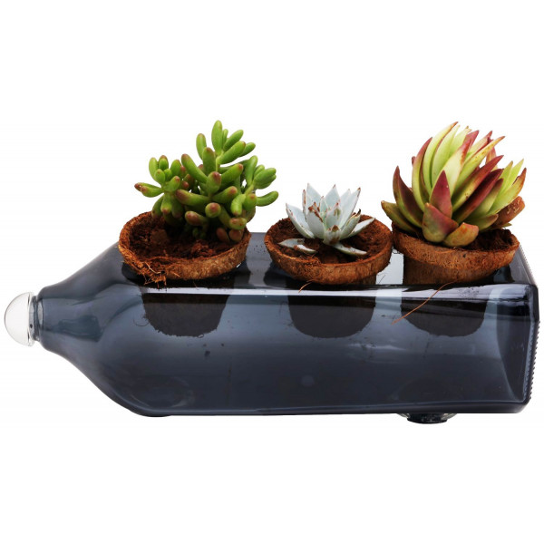 Hand Made Cutlery Holder cum Glass Bottle Planter (Black)
