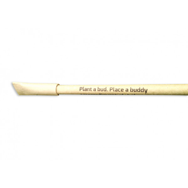 Eco friendly Plantable Seed Pen- (Pack of 50)