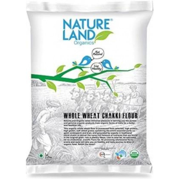 Whole Wheat Flour 750 Gm