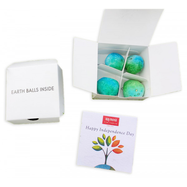 Plantable Seed Bombs - (Pack of 5)