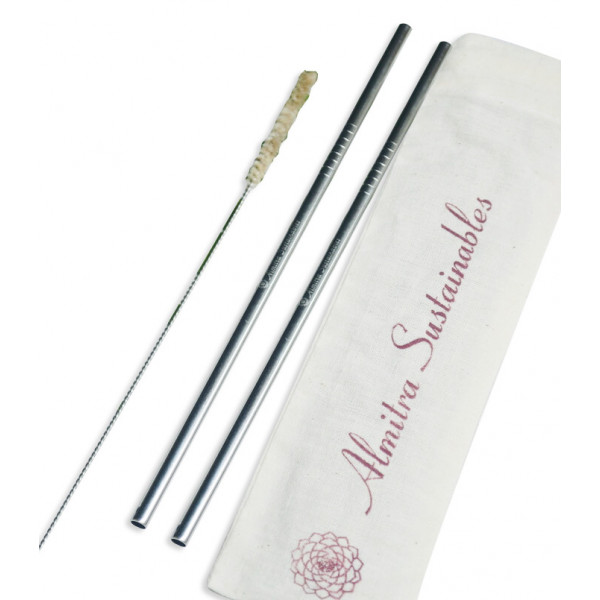 Reusable Stainless Straws (Straight)-Pack of 2 with Cleaner