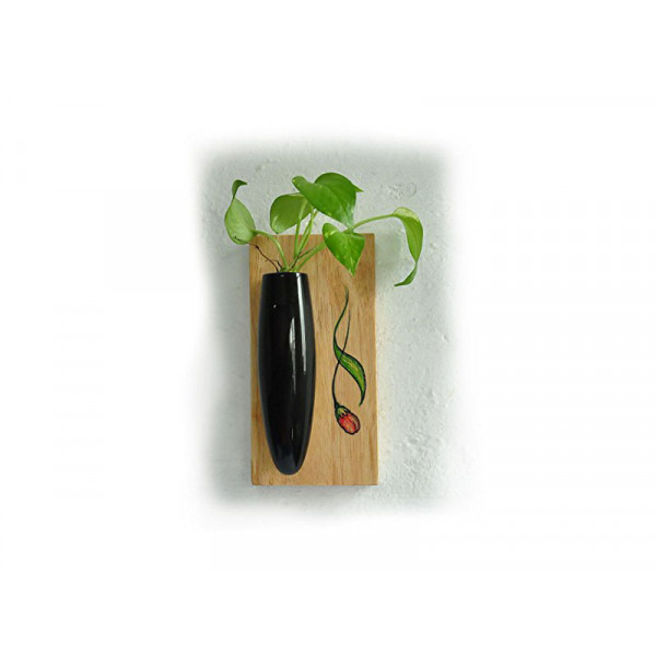 Wall Hanging Plant Holder (Black)