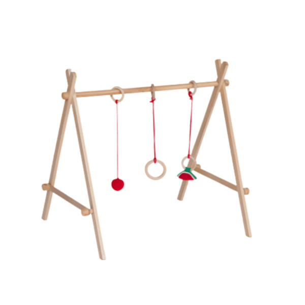 Baby Play Gym - Baby Gym (16) 
