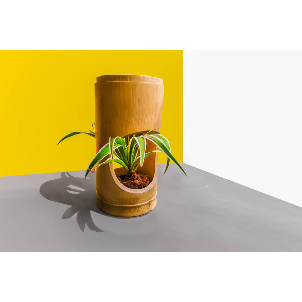 Bamboo planter cylinder cut shape
