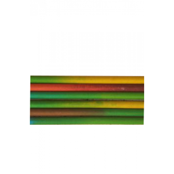 Fruit pencils (Pack of 10 pencils with Free Sharpener and Eraser)