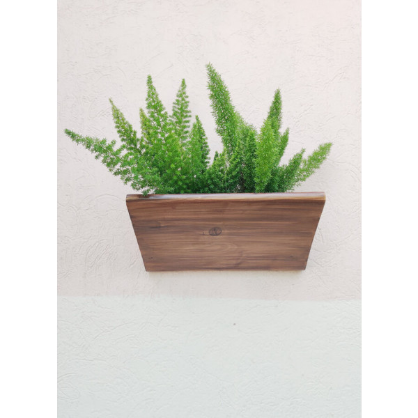 Wall hung Planter 