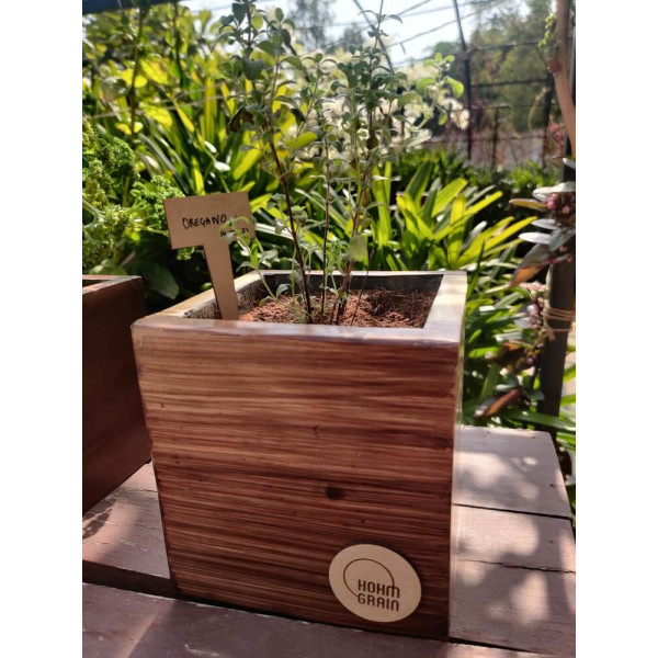 Cube planter 6