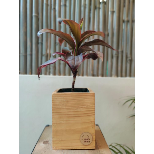 Cube planter 8