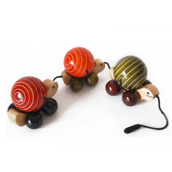 Kids Wooden Train - Turtles Ma Me Pa