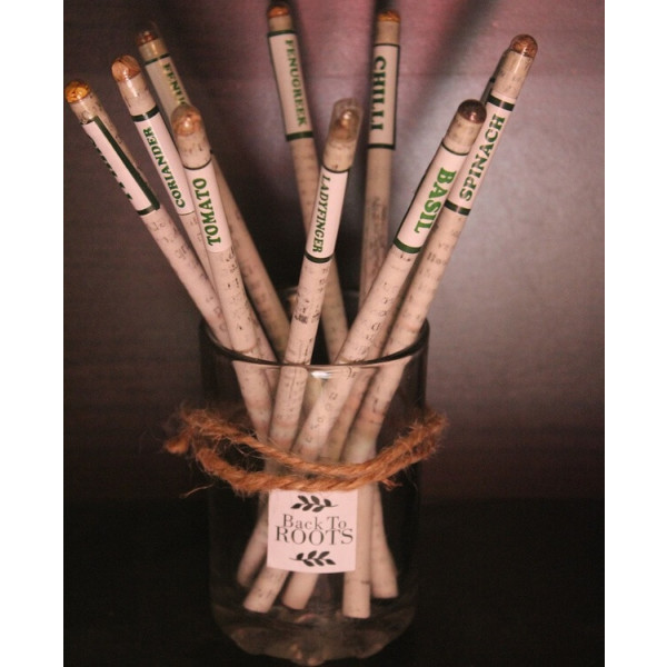 Plantable Colour Seed Pencil | Sow and Grow | Pack of 10 Colours