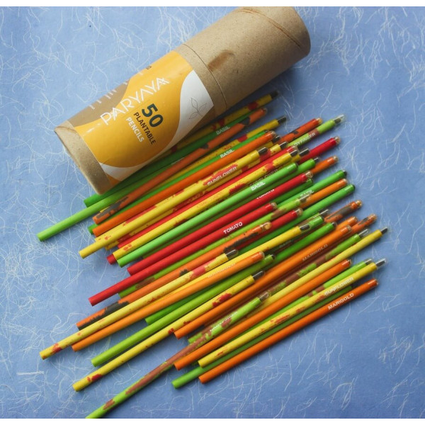 Paryaya Plantable Pencil - Pack of 50