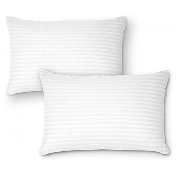 SleepExpert 13"x18" Pillow (Pack of 2)