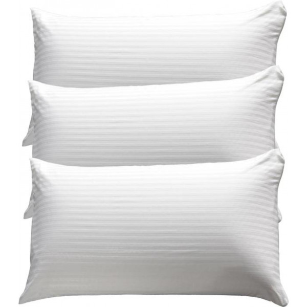 SleepExpert 20"x30" Pillow (Pack of 3)