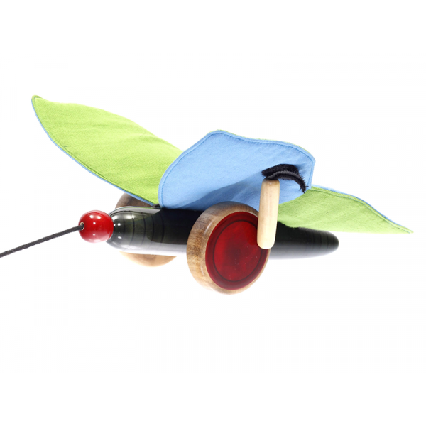 Thithli Pull Toy