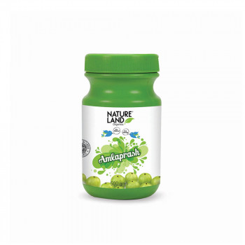 Organic Amlaprash (500gm)