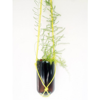 Eco-friendly Indoor cum Outdoor Hanging Glass Planter (Brown)