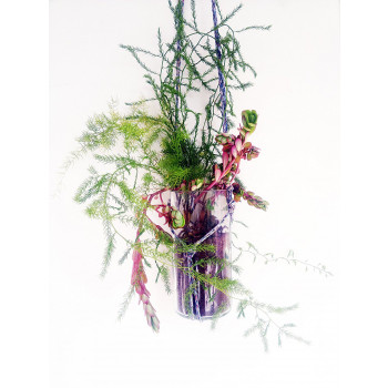 Hand Made Indoor cum Outdoor Hanging Glass Planter (Transparent)