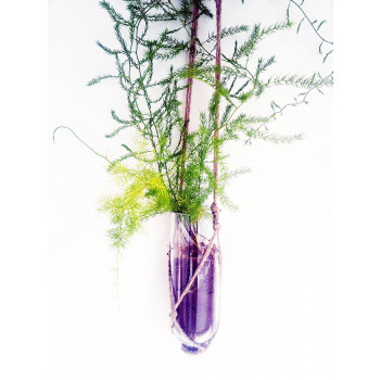 Sustainable Hanging Planter (Transparent)