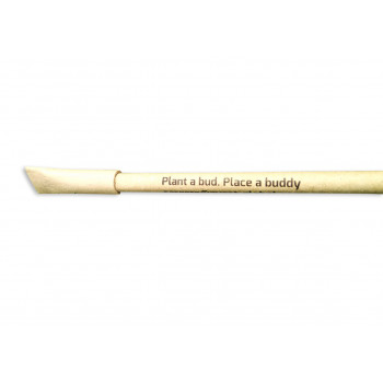 Eco friendly Plantable Seed Pen- (Pack of 50)