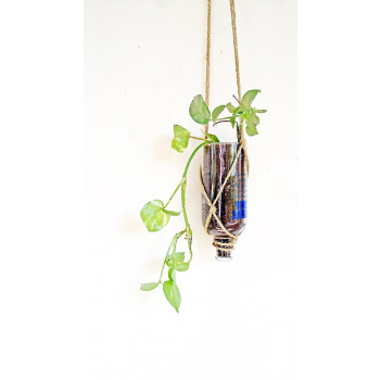 Indoor cum Outdoor Decor Hanging Planter (Clear)