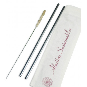 Reusable Stainless Straws (Straight)-Pack of 2 with Cleaner