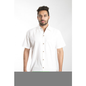 Short Sleeves Shirt (M)