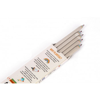 Eco-friendly Rainbow Pencil (Pack of 10 pencils with Free Sharpener and Eraser)