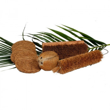 Coir Fiber Brush Set (bottle cleaning brush, multipurpose brush, 5 utensil scrub )