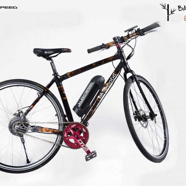 Bamboo electric bike clearance