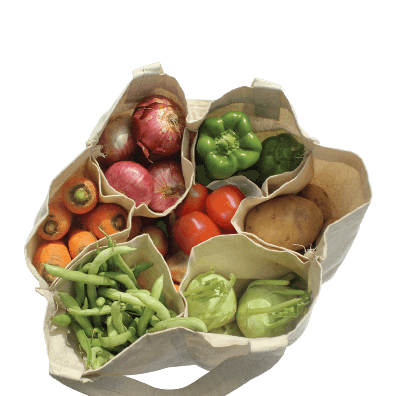 Vegetable cotton cheap bag