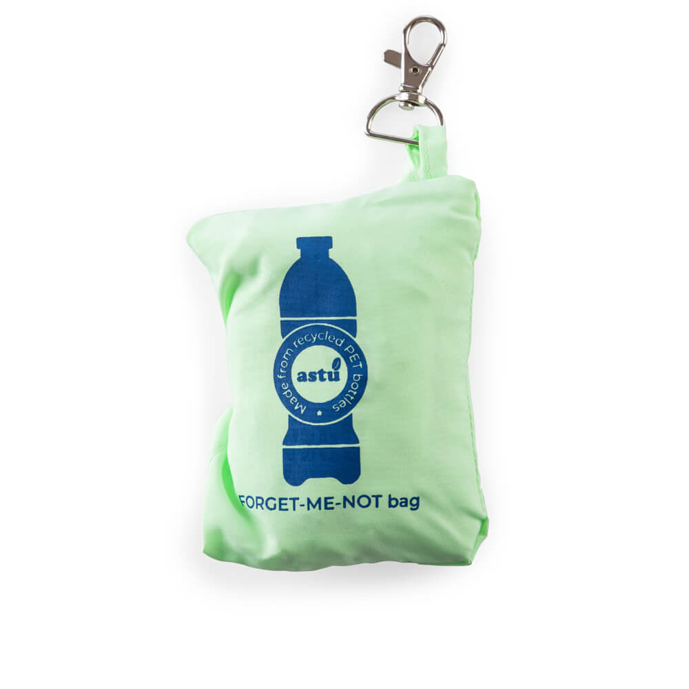 Eco friendly shopping bag Fold able reusable shopping bags Plastic
