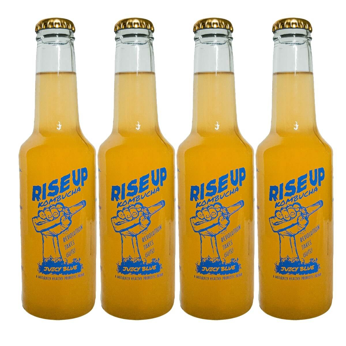 Rise Up Kombucha | Blueberry | Pack of 4 - (Each 275 ml)