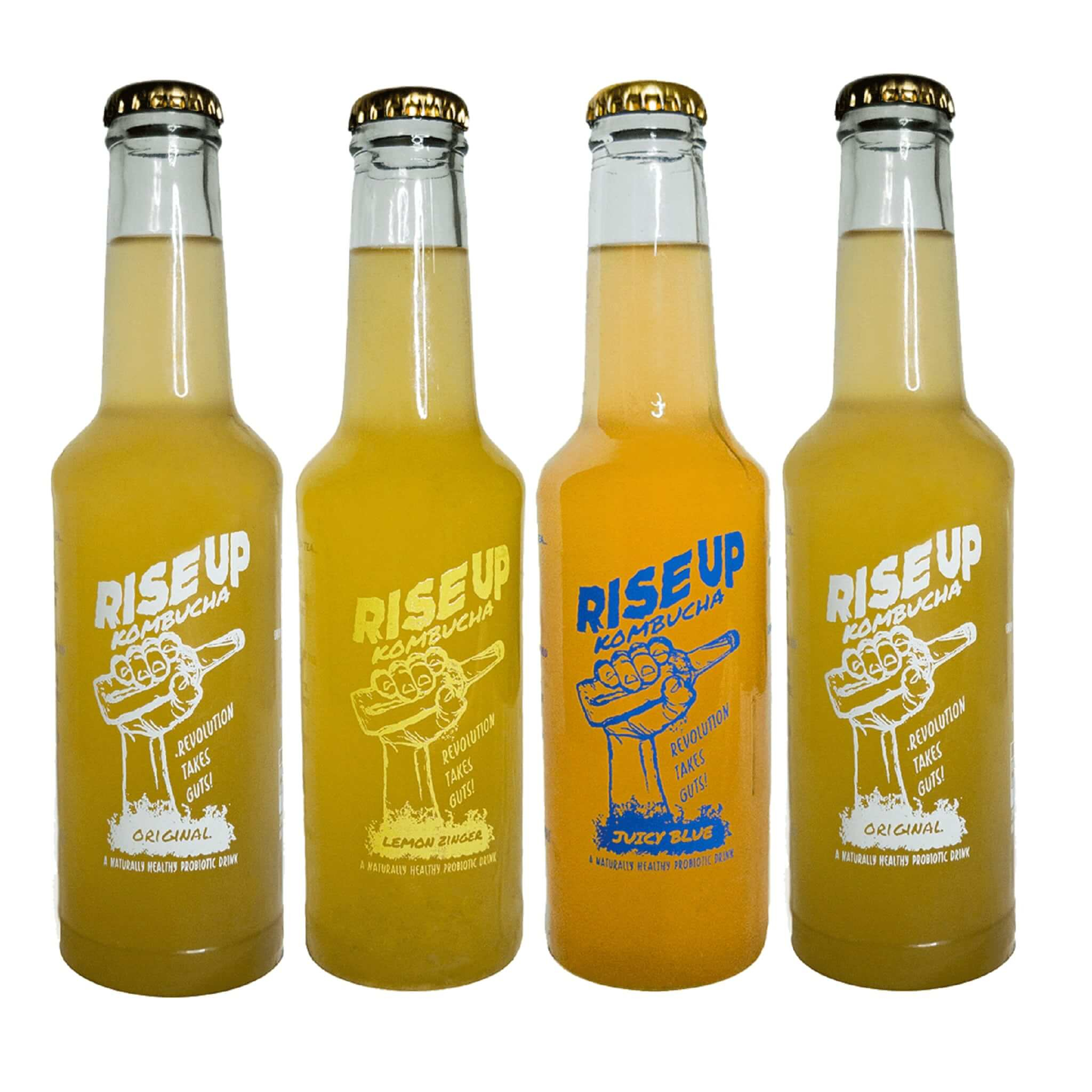 Rise Up Kombucha | Assorted | Pack of 4 - (Each 275 ml)