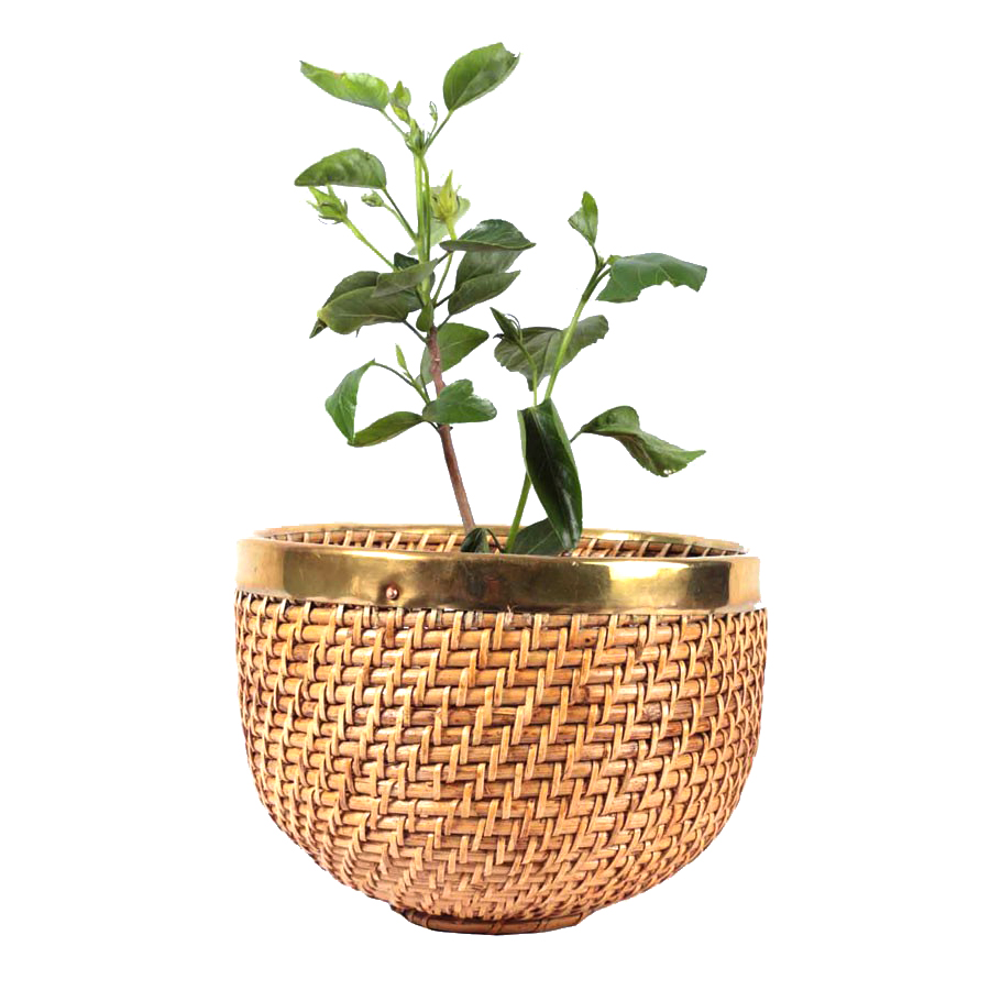 Natural Cane Planter (Egg Shaped 8