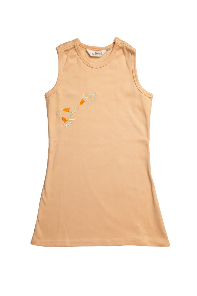 Sleeveless Frock with Embroidery